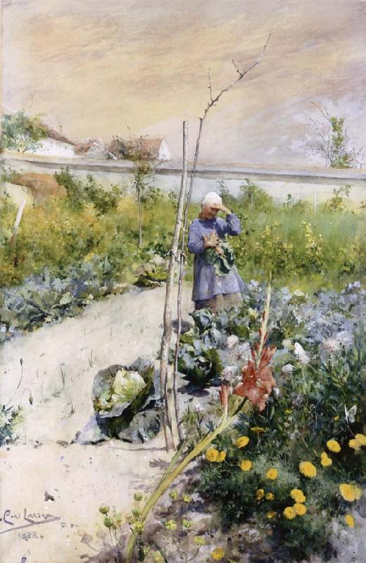 Carl Larsson IN Kokstradgarden